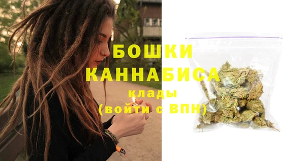гидра Надым