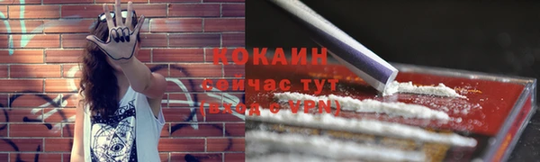 гидра Надым