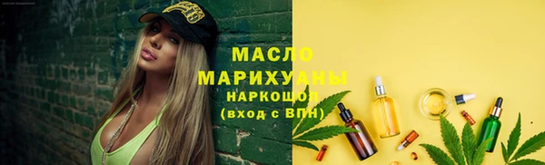 гидра Надым