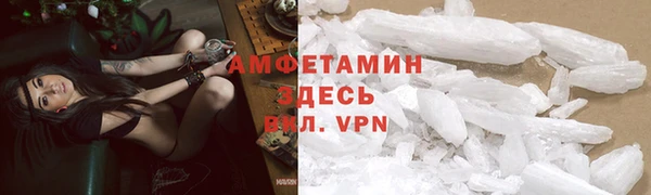гидра Надым