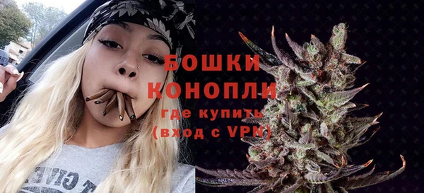 гидра Надым