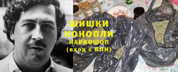 гидра Надым