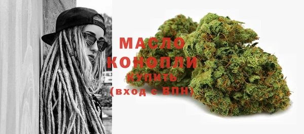 гидра Надым