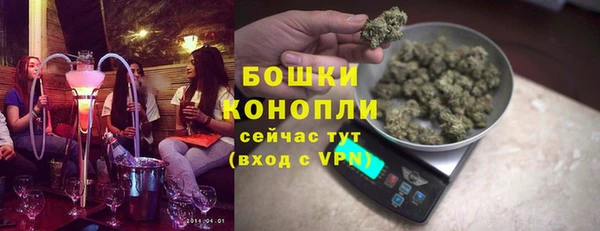 гидра Надым