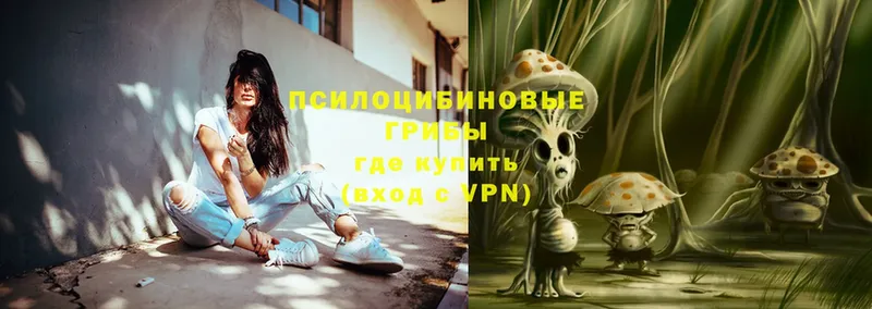 где купить наркоту  Бабаево  OMG как войти  Псилоцибиновые грибы Psilocybe 